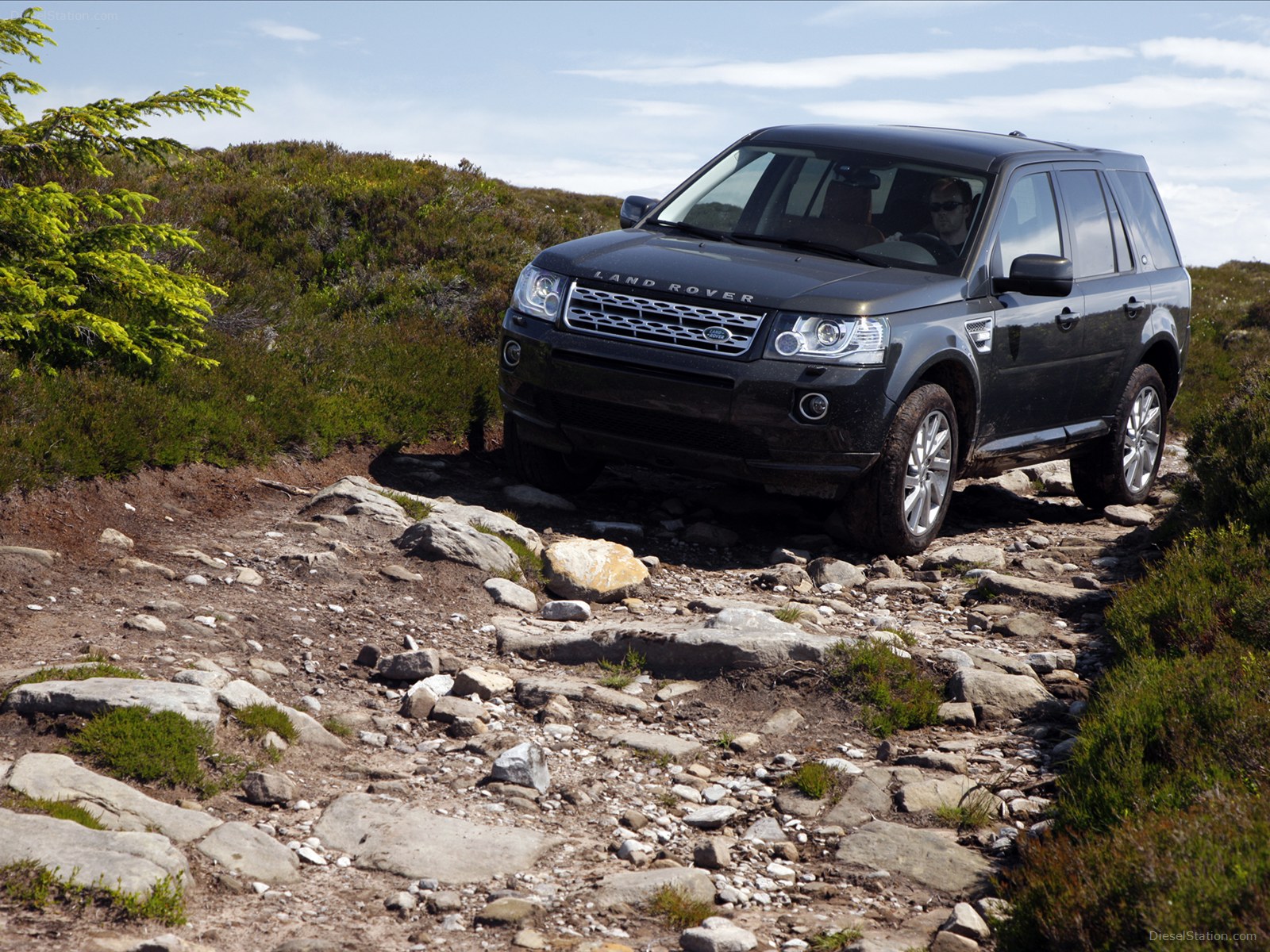 Land Rover Freelander 2 2013